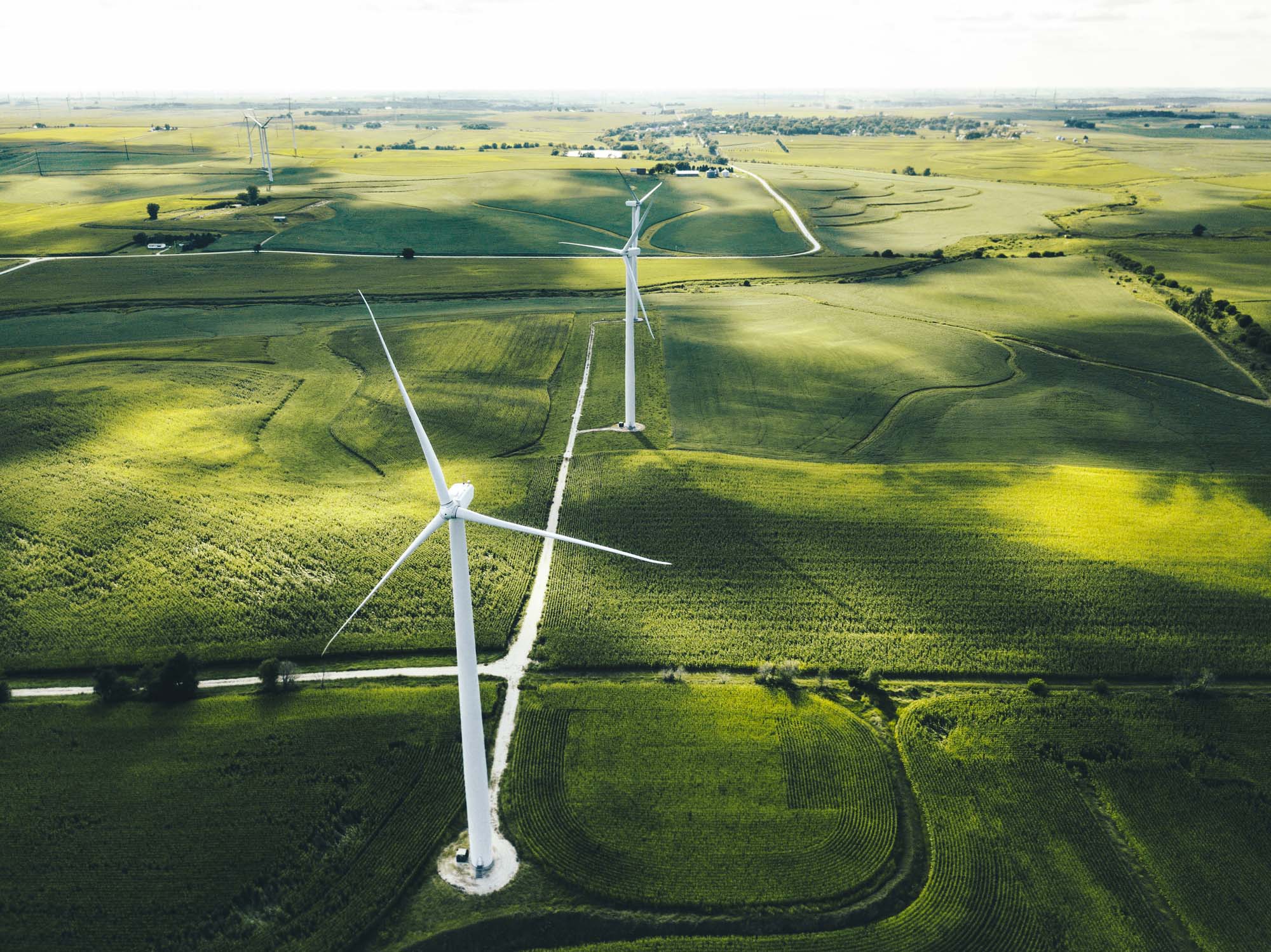 Aerial view of Iowan corn fields with windmills