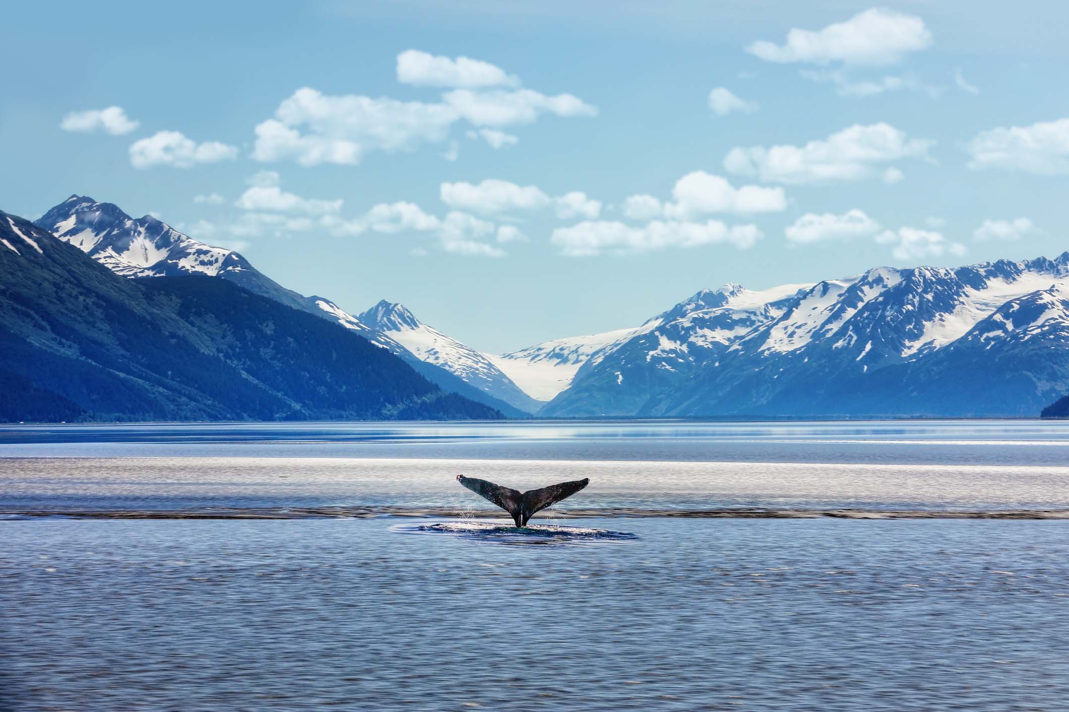 Alaskan Bay and Mountain Range