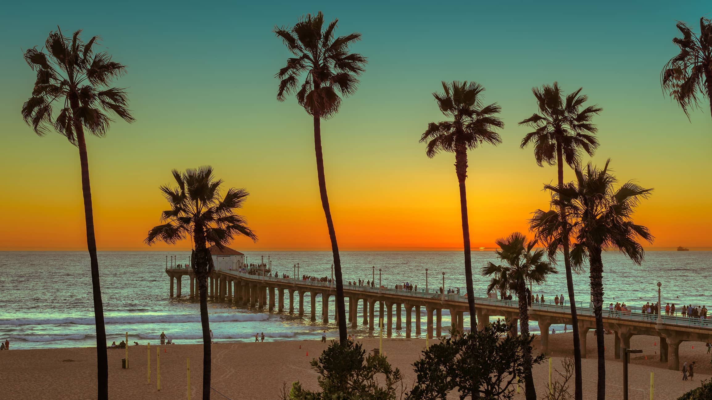 Palm trees and a sunset on the beach of southern California